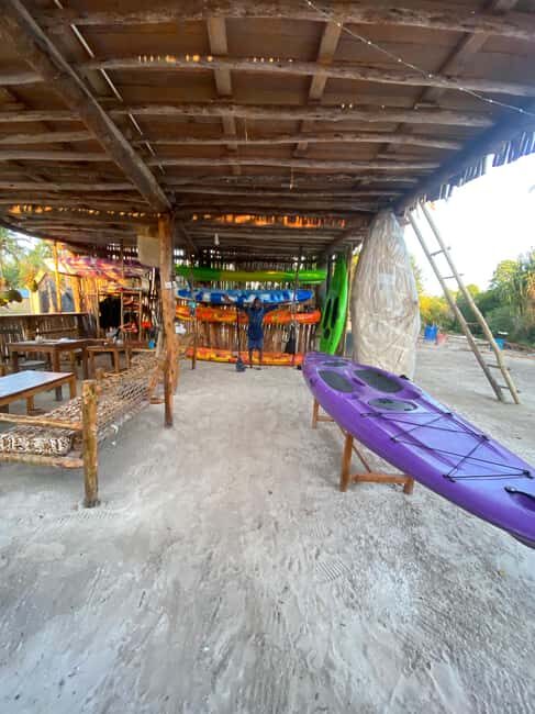 Kayak Mangrove Tour - Timing and Flexibility