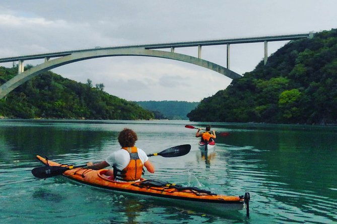 kayak-mangroves-or-coral-reef-private-tour-in-north-okinawa
