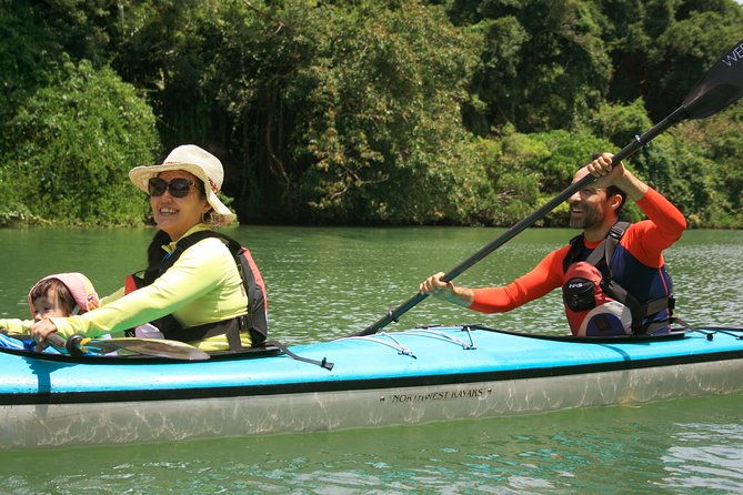 kayak-mangroves-or-coral-reef-private-tour-in-north-okinawa