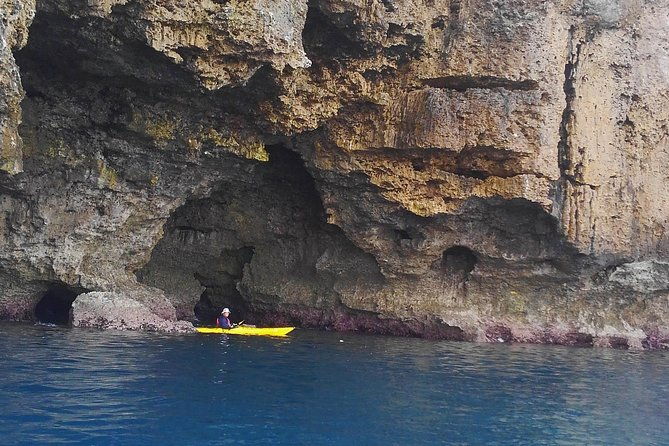 kayak-mangroves-or-coral-reef-private-tour-in-north-okinawa
