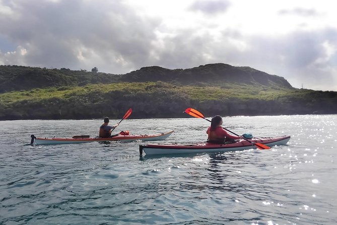 kayak-mangroves-or-coral-reef-private-tour-in-north-okinawa