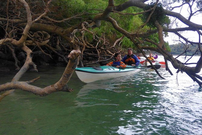 kayak-mangroves-or-coral-reef-private-tour-in-north-okinawa