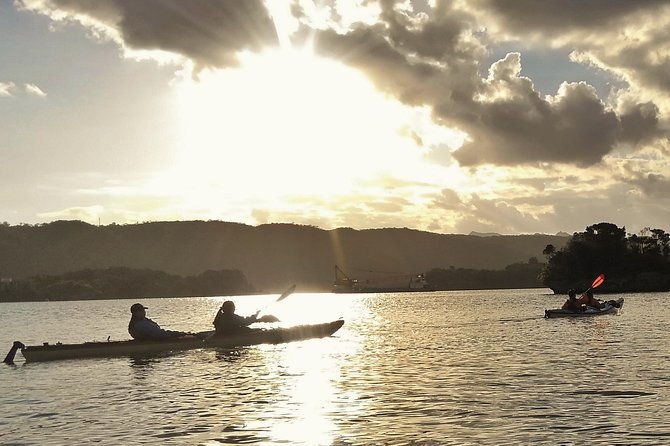 kayak-mangroves-or-coral-reef-private-tour-in-north-okinawa