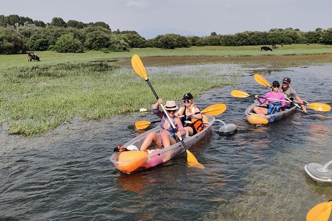 kayak-or-stand-up-paddle-in-shkodra-lake-and-buna-river