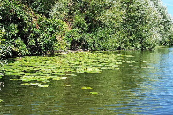 Kayak or SUP tour on the water through Saarbrücken - FAQs
