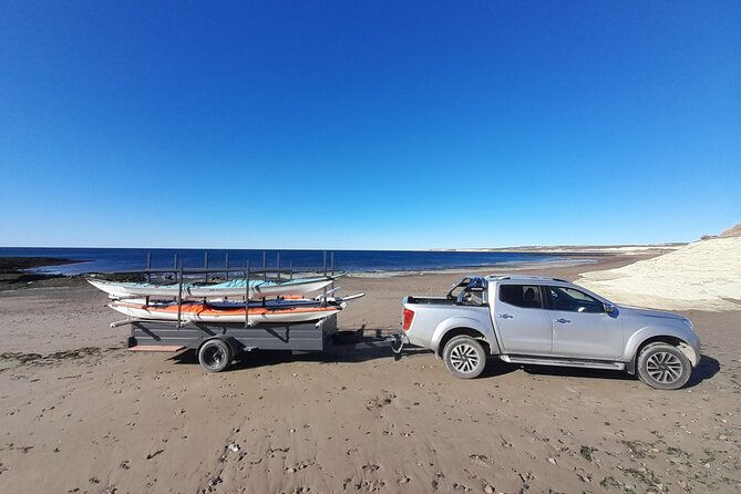 kayak-paddling-experience-with-sea-lions-in-puerto-madryn