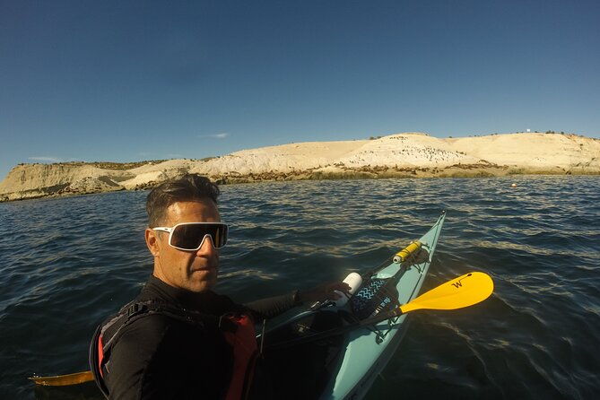 kayak-paddling-experience-with-sea-lions-in-puerto-madryn