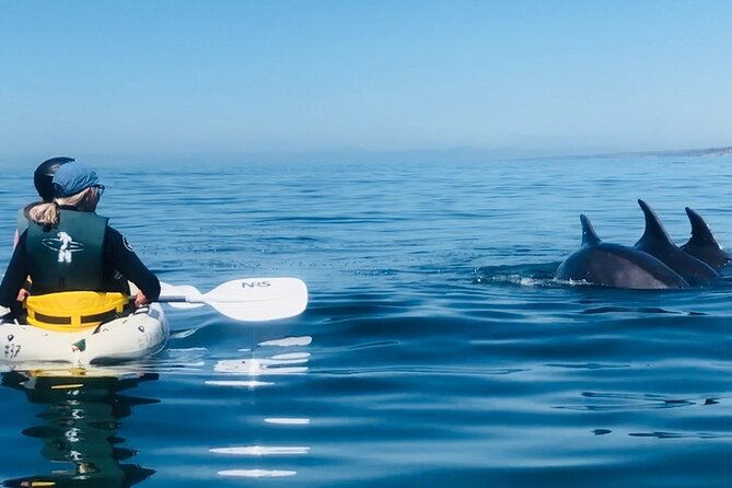 kayak-rental-for-two-people-in-la-jolla