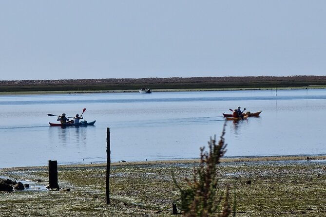kayak-rental-in-praia-dos-cavacos