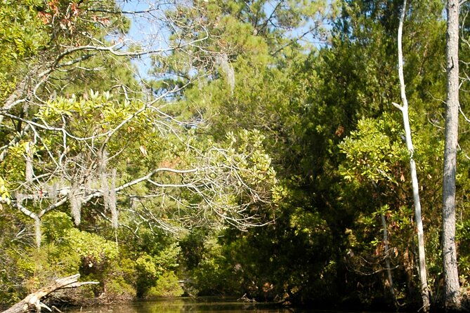 kayak-rental-on-the-outer-banks