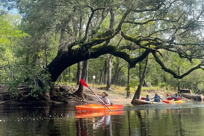 kayak-rental-on-the-waccamaw-river