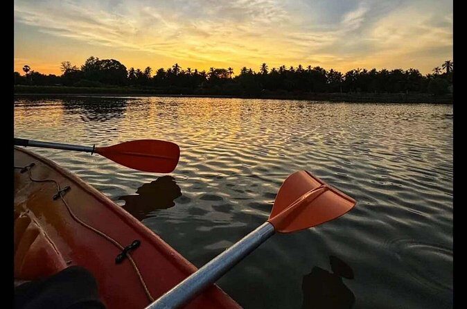 Kayak Rentals in Negombo Lagoon - Practical Tips for Your Kayaking Trip