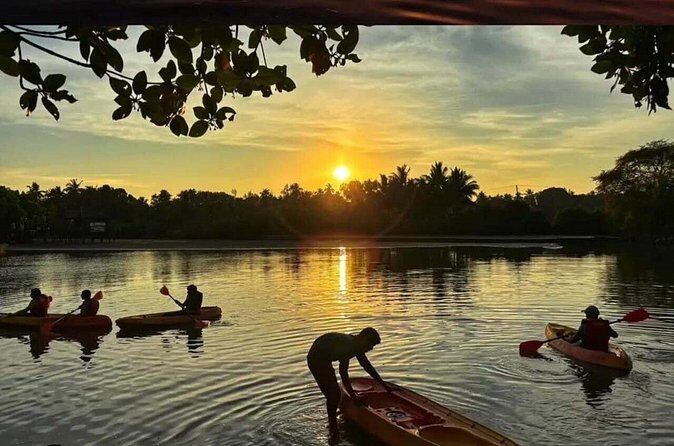 Kayak Rentals in Negombo Lagoon - Who Should Consider This Experience?