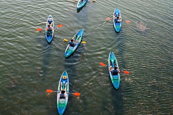 kayak-rentals-on-lady-bird-lake