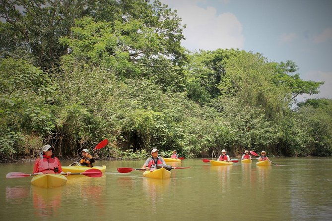 kayak-safari