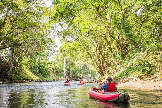 kayak-safari