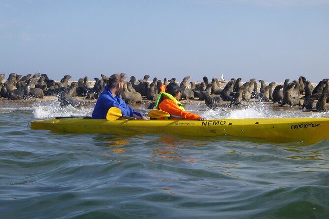 Kayak Sand Combo - Key Points