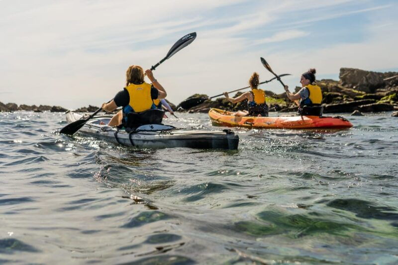 kayak-snorkel-in-hondarribia