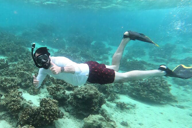 kayak-snorkel-private-tour-in-yanbaru-north-okinawa