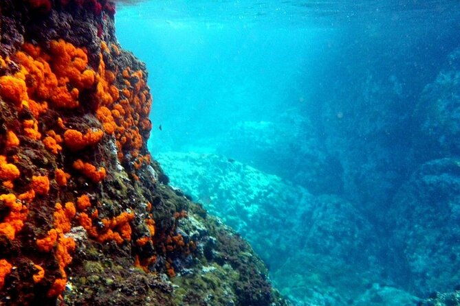 kayak-snorkel-tour-in-cerro-gordo-natural-park-la-herradura