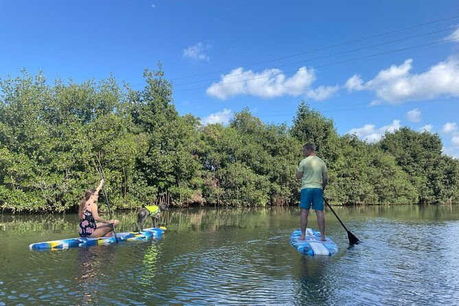 kayak-stand-up-paddle-board-sup-rental
