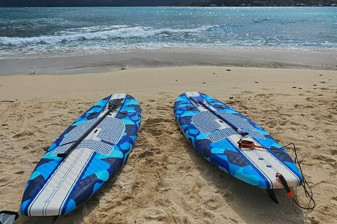 kayak-stand-up-paddle-board-sup-rental