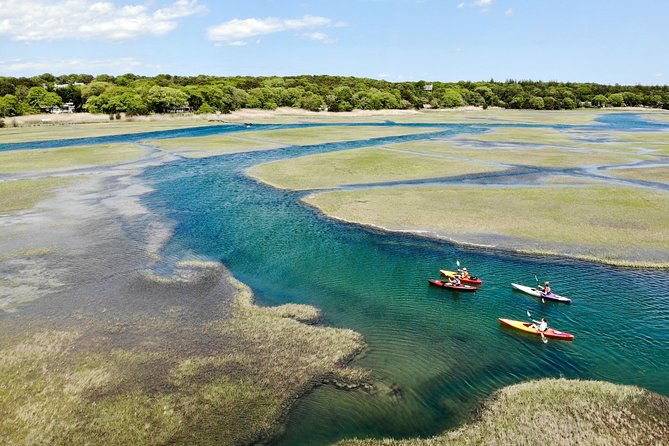 kayak-the-creek-nature-tour