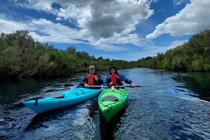 kayak-through-the-sunken-forest-of-the-maullin-river