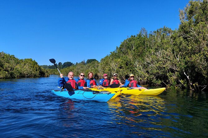 kayak-through-the-sunken-forest-of-the-maullin-river
