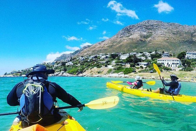 Kayak to the penguins in Simons Town - Why This Tour Offers Great Value