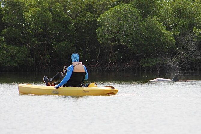 kayak-tour-adventure-marco-island-and-naples-florida