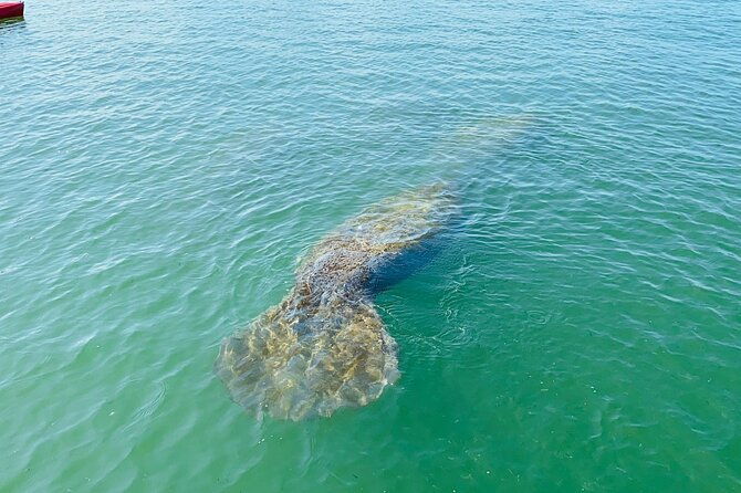 kayak-tour-adventure-marco-island-and-naples-florida