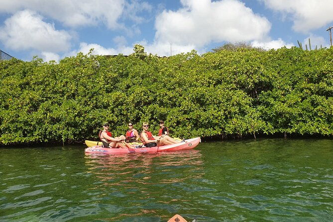 kayak-tour-at-mangel-halto-and-spanish-lagoon