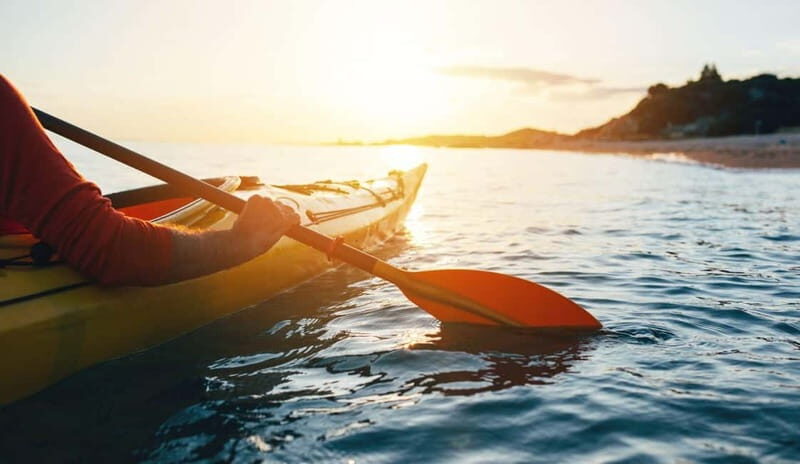Kayak Tour Between Levanto and the Cinque Terre: A Unique Experience in Liguria - Why This Tour Offers Great Value