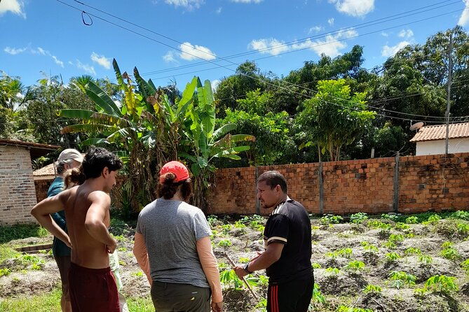 kayak-tour-casa-da-farinha-by-costa-leste-ecoaventura