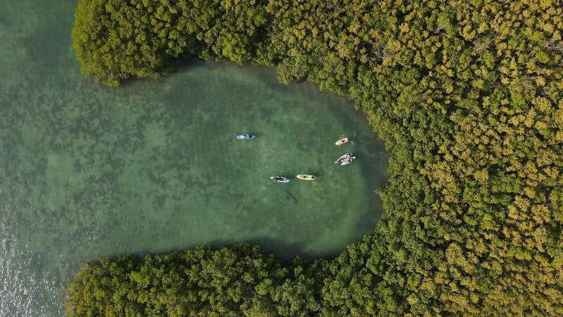 kayak-tour-in-cancun-with-photos-included