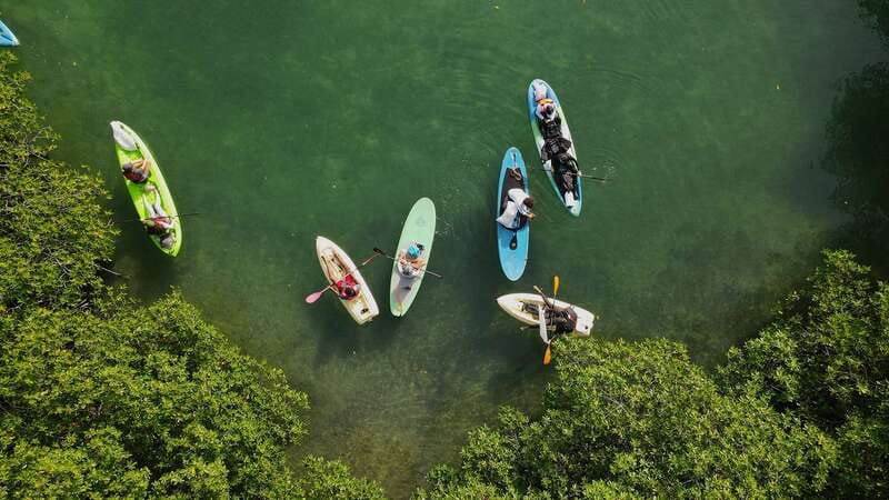 kayak-tour-in-cancun-with-photos-included