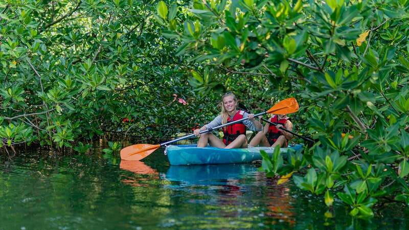 kayak-tour-in-cancun-with-photos-included