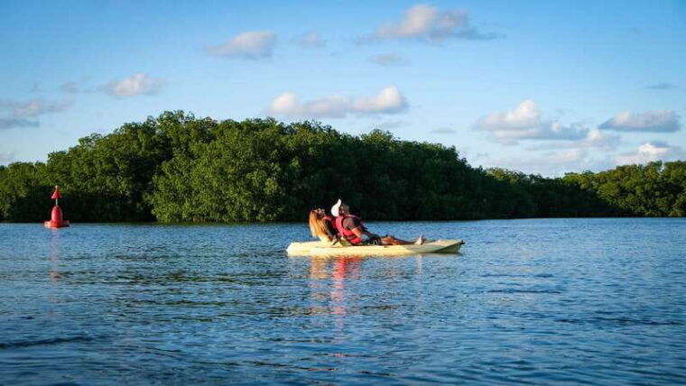 kayak-tour-in-cancun-with-photos-included