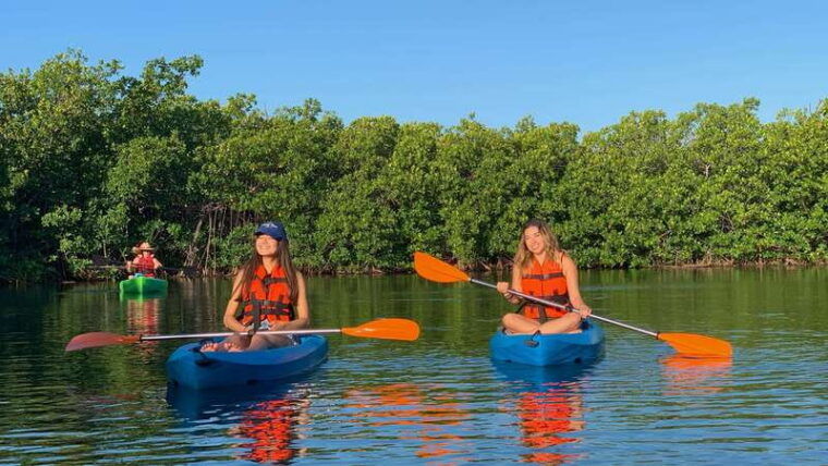kayak-tour-in-cancun-with-photos-included