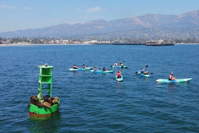 Kayak Tour of Santa Barbara with Experienced Guide - Authentic Experiences from Past Guests