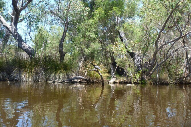 Kayak Tour on the Canning River - Exploring the Kayak Tour on the Canning River