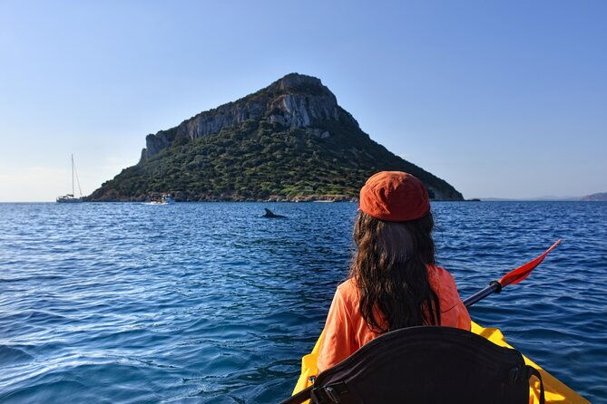 kayak-tour-with-aperitif-and-dolphins