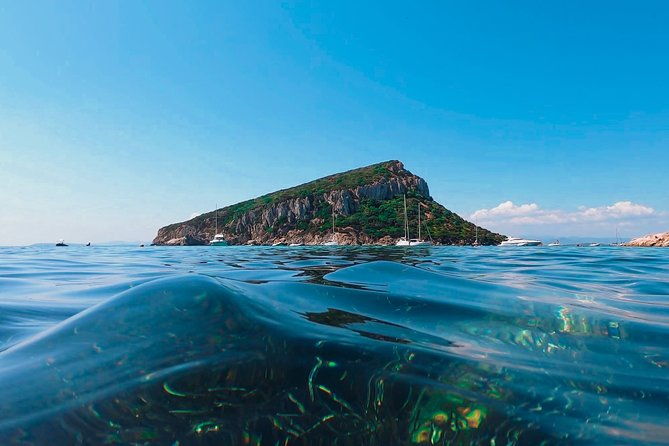 kayak-tour-with-aperitif-and-dolphins