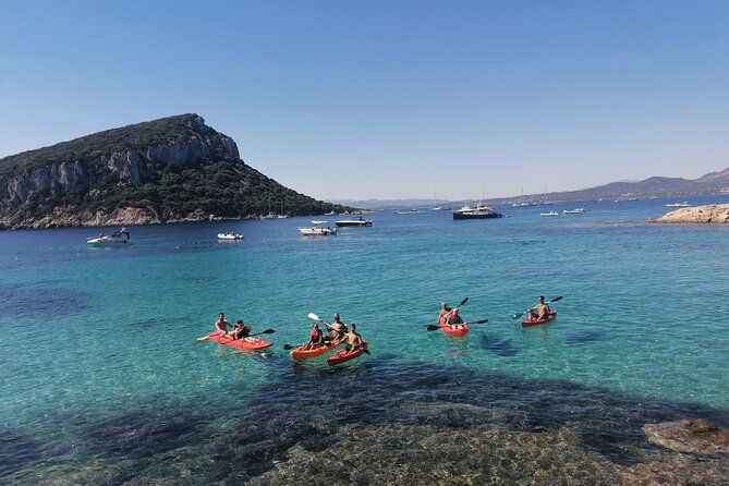 kayak-tour-with-aperitif-and-dolphins