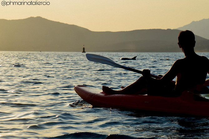 kayak-tour-with-aperitif-and-dolphins
