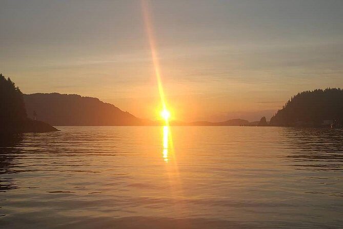 Kayak Tours - Potential Drawbacks and Considerations