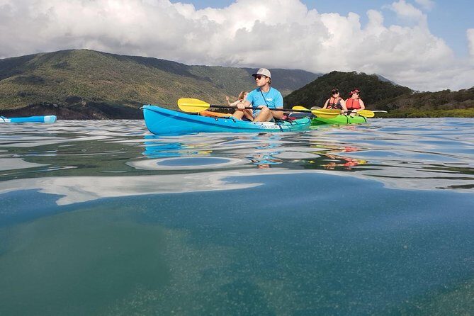 Kayak Turtle Tour from Palm Cove - The Itinerary in Detail: What You Can Expect