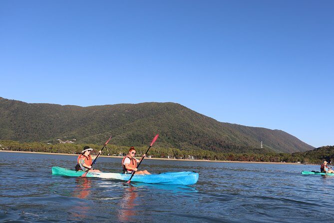 Kayak Turtle Tour from Palm Cove - Equipment and Comfort