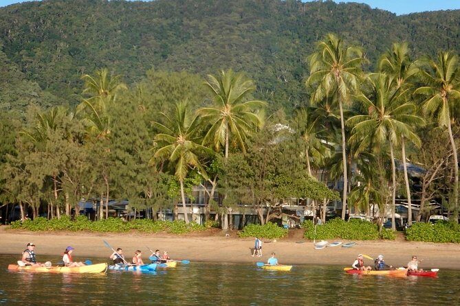 Kayak Turtle Tour from Palm Cove - The Price: Does It Offer Good Value?